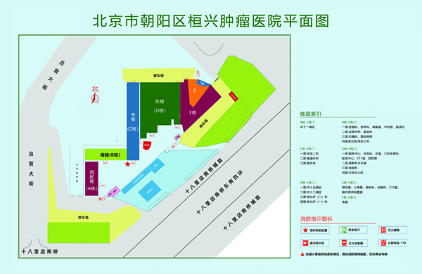 啊啊不要再插了要被大鸡巴操死了网站入口北京市朝阳区桓兴肿瘤医院平面图